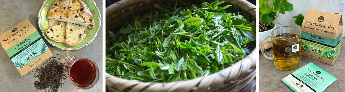 Fight Cancer with the Power of Teas